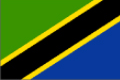 YYIC Website for Tanzania